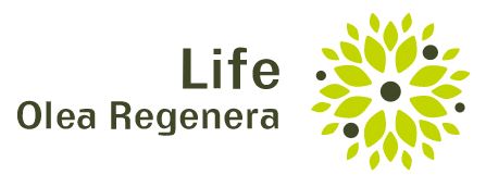 Olea Regenera - Valorización del residuo generado en la extracción del aceite de oliva